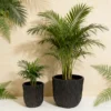 Large Round Planters Set of 2 (15.75"x14.96" & 12.2" x13.39'') - Lightweight Magnesium Oxide Plant Pot with Texture -Concrete Planter Pots with Drainage Hole – Indoor & Outdoor Use