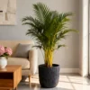Large Round Planters Set of 2 (15.75"x14.96" & 12.2" x13.39'') - Lightweight Magnesium Oxide Plant Pot with Texture -Concrete Planter Pots with Drainage Hole – Indoor & Outdoor Use - Image 2