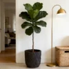 Large Round Planters Set of 2 (15.75"x14.96" & 12.2" x13.39'') - Lightweight Magnesium Oxide Plant Pot with Texture -Concrete Planter Pots with Drainage Hole – Indoor & Outdoor Use - Image 3