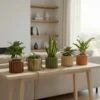 Round Strata Planter SM - Dark Brown - Image 10