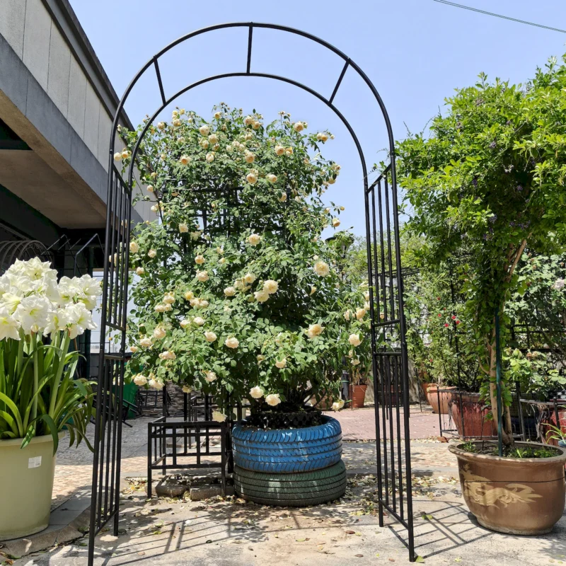 Metal Garden Arch L42.24'' x W17.52'' x H85.82'' Climbing Plants Support Rose Arch Outdoor Black - Image 12