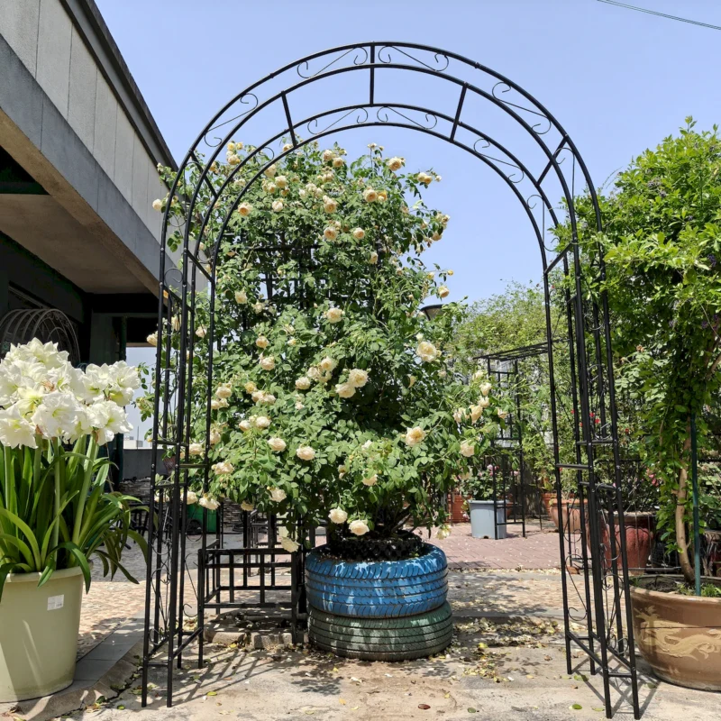 Metal Garden Arch L59'' x W17.71'' x H90.55'' Climbing Plants Support Rose Arch Outdoor Black - Image 4