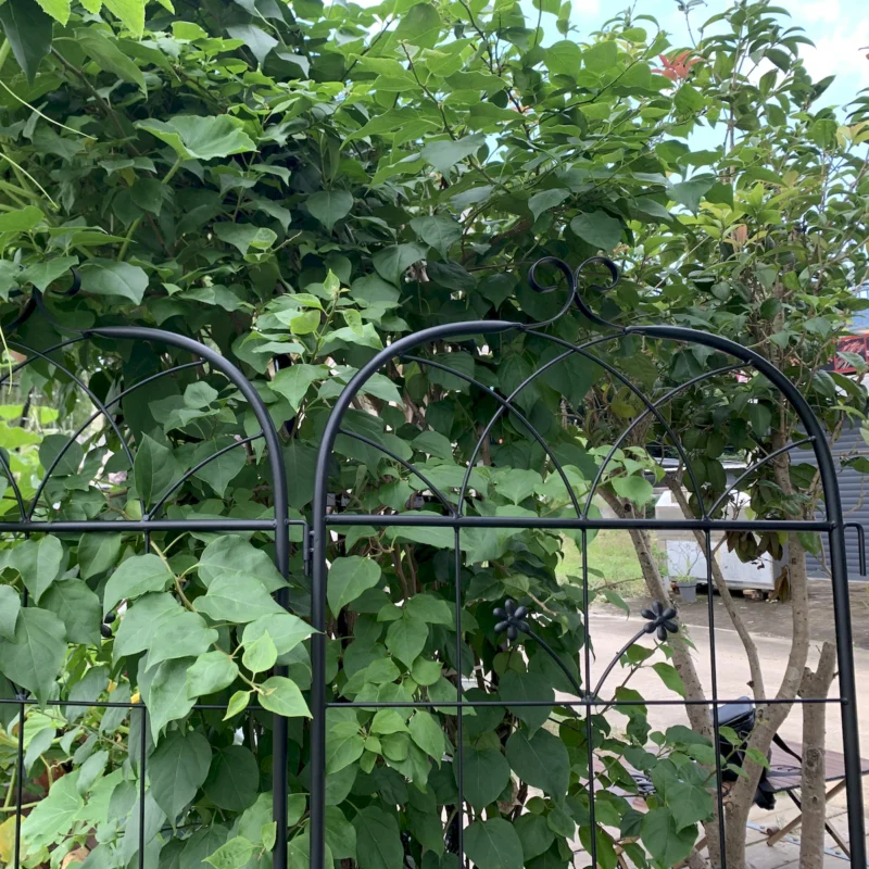 Metal Garden Trellis, 2 Pack Metal Trellis for Climbing Plants, Indoor/Outdoor Plant Trellis for Potted Plants, House Plants, Climbing Vines, Flowers and Vegetables, Lawn Garden Fence Decor Screen - Image 2