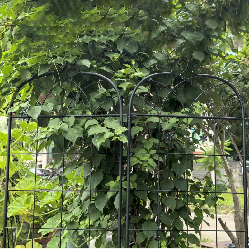 Metal Garden Trellis, 2 Pack Metal Trellis for Climbing Plants, Indoor/Outdoor Plant Trellis for Potted Plants, House Plants, Climbing Vines, Flowers and Vegetables, Lawn Garden Fence Decor Screen - Image 12