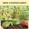 Outdoor Large Capacity Composter,Garden Compost Bin,Fertile Soil Aerating Box - Image 8