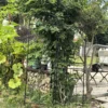 Metal Garden Trellis, 2 Pack Metal Trellis for Climbing Plants, Indoor/Outdoor Plant Trellis for Potted Plants, House Plants, Climbing Vines, Flowers and Vegetables, Lawn Garden Fence Decor Screen - Image 11