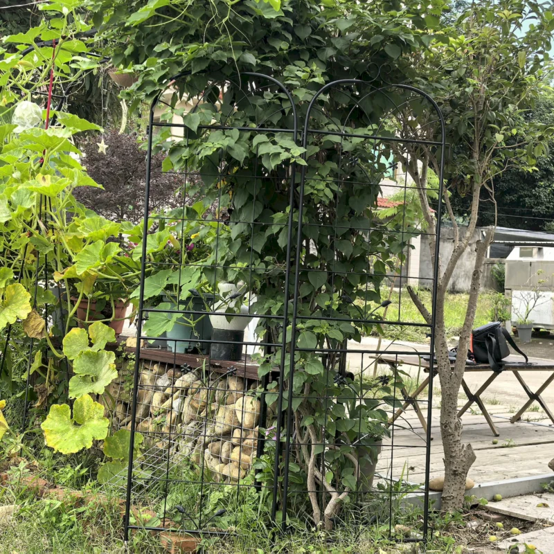 Metal Garden Trellis, 2 Pack Metal Trellis for Climbing Plants, Indoor/Outdoor Plant Trellis for Potted Plants, House Plants, Climbing Vines, Flowers and Vegetables, Lawn Garden Fence Decor Screen - Image 11
