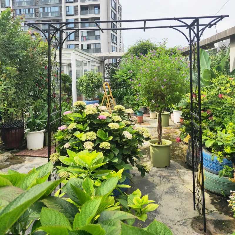 Metal Garden Arch L80.3'' x W20.47'' x H81.1'' Climbing Plants Support Rose Arch Outdoor Black - Image 9