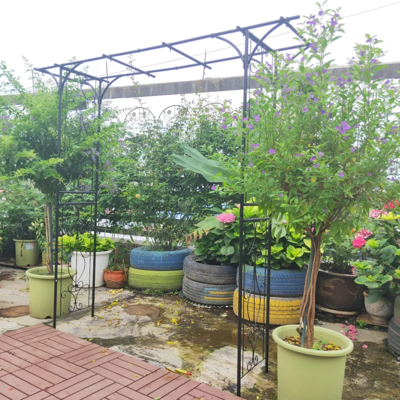Metal Garden Arch L80.3'' x W20.47'' x H81.1'' Climbing Plants Support Rose Arch Outdoor Black - Image 7