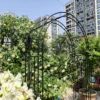 Metal Garden Arch L59'' x W17.71'' x H90.55'' Climbing Plants Support Rose Arch Outdoor Black - Image 13