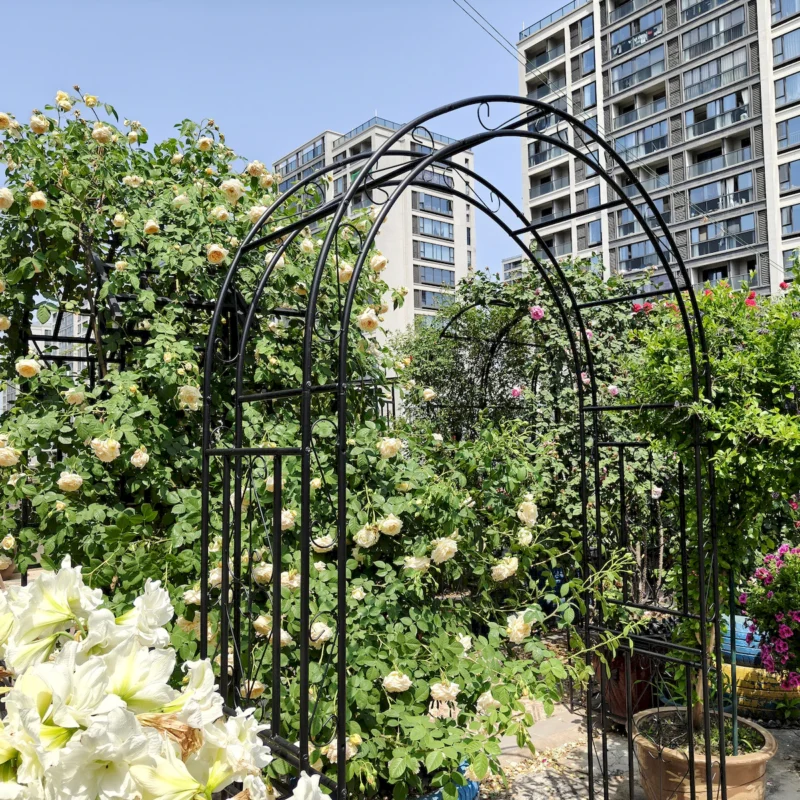 Metal Garden Arch L59'' x W17.71'' x H90.55'' Climbing Plants Support Rose Arch Outdoor Black - Image 13