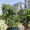 Metal Garden Arch L42.24'' x W17.52'' x H85.82'' Climbing Plants Support Rose Arch Outdoor Black - Image 8