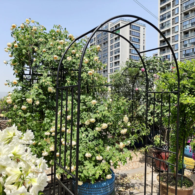 Metal Garden Arch L42.24'' x W17.52'' x H85.82'' Climbing Plants Support Rose Arch Outdoor Black - Image 8