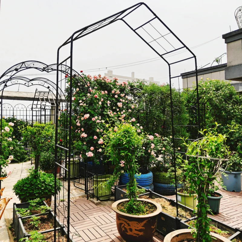 Metal Garden Arch L56.3'' x W16.93'' x H94.5'' Climbing Plants Support Rose Arch Outdoor Black - Image 3