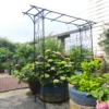 Metal Garden Arch L80.3'' x W20.47'' x H81.1'' Climbing Plants Support Rose Arch Outdoor Black - Image 6