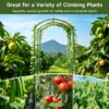 Heavy Duty 20mm Large Diameter Metal Cucumber & Loofah Trellis, U-Shape Garden Arch for Raised Bed, Climbing Vegetable Plant Support - Image 9