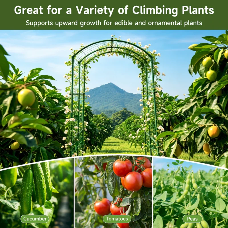 Heavy Duty 20mm Large Diameter Metal Cucumber & Loofah Trellis, U-Shape Garden Arch for Raised Bed, Climbing Vegetable Plant Support - Image 9