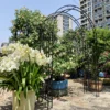Metal Garden Arch L59'' x W17.71'' x H90.55'' Climbing Plants Support Rose Arch Outdoor Black - Image 10