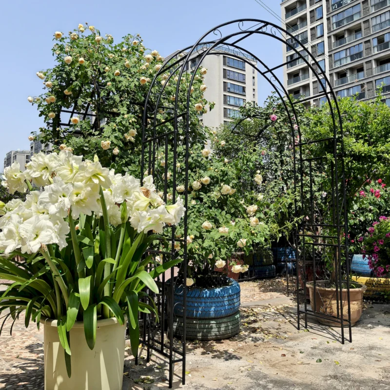 Metal Garden Arch L59'' x W17.71'' x H90.55'' Climbing Plants Support Rose Arch Outdoor Black - Image 10