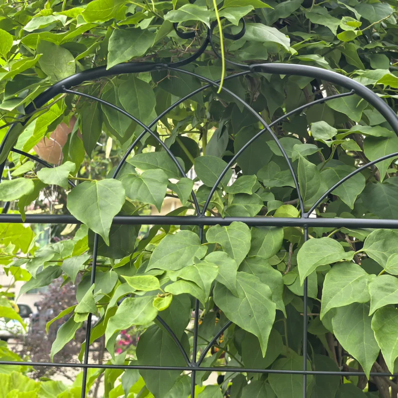 Metal Garden Trellis, 2 Pack Metal Trellis for Climbing Plants, Indoor/Outdoor Plant Trellis for Potted Plants, House Plants, Climbing Vines, Flowers and Vegetables, Lawn Garden Fence Decor Screen - Image 7