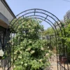 Metal Garden Arch L59'' x W17.71'' x H90.55'' Climbing Plants Support Rose Arch Outdoor Black - Image 9