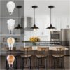 Farmhouse Vintage Pendant Light Black Fixture Pendant Lights with Spring Frame Adjustable Metal Hanging Lamp for Kitchen Island Dining Room Bedroom Living Room Barn Entryy, E26 - Image 5