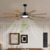 60 Inch Ceiling Fan with Lights and Remote Control, 8 Plywood Blades, 6-Speed Noiseless Reversible DC Motor, 3CCT, Windmill Ceiling fan for Kitchen Bedroom Living Room, Black