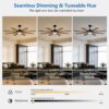 60 Inch Ceiling Fan with Lights and Remote Control, 8 Plywood Blades, 6-Speed Noiseless Reversible DC Motor, 3CCT, Windmill Ceiling fan for Kitchen Bedroom Living Room, Black - Image 6