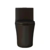1.28/0.8 GPF Tornado Flush One-Piece Toilet Elongated, Siphonic S-trap 12",Soft Closing Seat, Button on Tank top ,Powerful Dual Flush MAP 1000g, Comfort Chair Seat ADA Height 17", Matte black MB-002 - Image 12