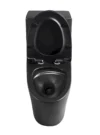 1.1/1.60 GPF Dual-Flush One Piece Toilet, Water-Saving Elongated Comfort Height Floor Mounted, Soft Close Seat, 1000 Gram Map Flushing Score Toilet, Matte Black GF-24T01-MB - Image 3