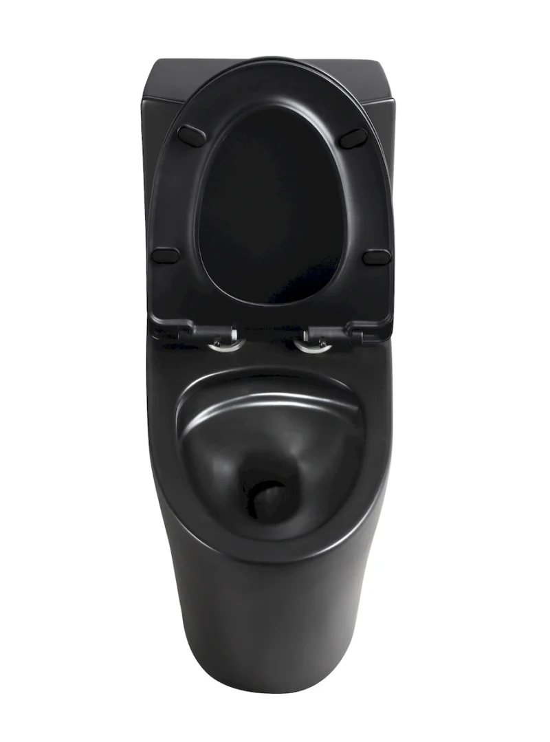 1.1/1.60 GPF Dual-Flush One Piece Toilet, Water-Saving Elongated Comfort Height Floor Mounted, Soft Close Seat, 1000 Gram Map Flushing Score Toilet, Matte Black GF-24T01-MB - Image 3