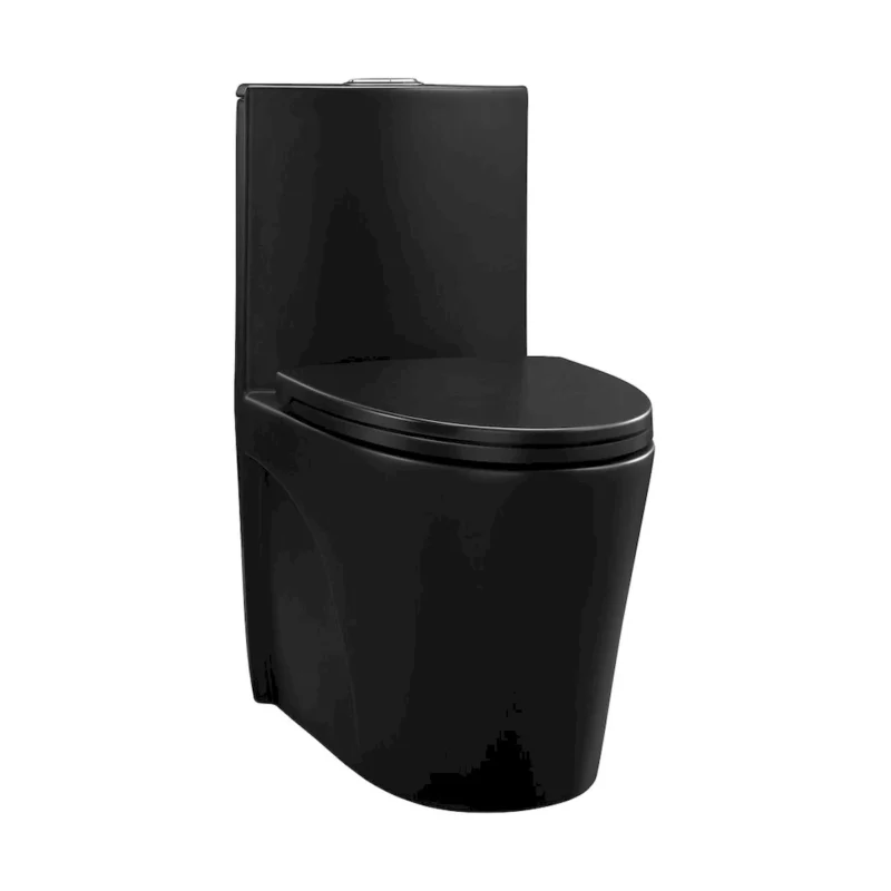 1.1/1.60 GPF Dual-Flush One Piece Toilet, Water-Saving Elongated Comfort Height Floor Mounted, Soft Close Seat, 1000 Gram Map Flushing Score Toilet, Matte Black GF-24T01-MB - Image 13