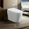Tankless Smart Toilet With Bidet Built In, One-piece Bidet Toilet Seat, Auto Flush, Auto Open/Close,Heated Seat, Warm Water and Dry, Adjustable Temp,Remote Control Side Know