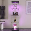 LED lights Glass Display Cabinet 4 Shelves with Door, Floor Standing Curio Bookshelf for Living Room Bedroom Office - Image 2